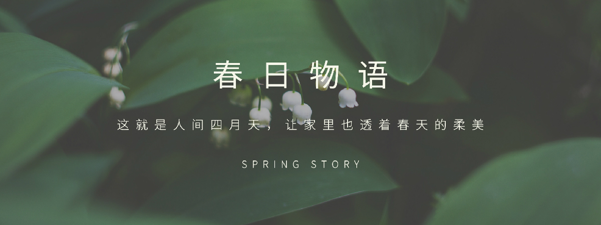 开头 副本.JPG
